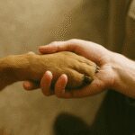 dog nail trimming guide